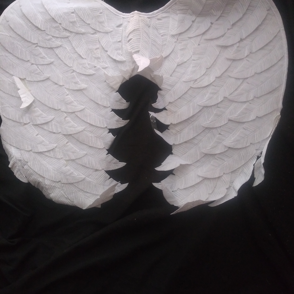 🎃Halloween 🎃Angel wings